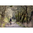 WTB Proterra Light i23 TCS 2.0 gravel első kerék - RideShop.hu