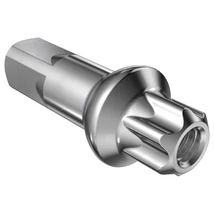DT Swiss Küllőanya DT Swiss réz squorx pro head pro lock ezüst 15 mm - RideShop.hu