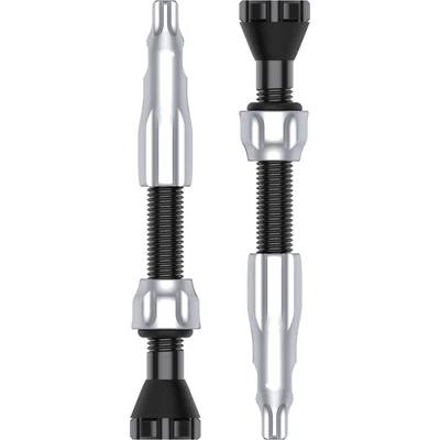 Lezyne Tubeless CNC szelep ezüst 44 mm - RideShop.hu